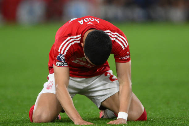 借其稳固的 借其稳固的